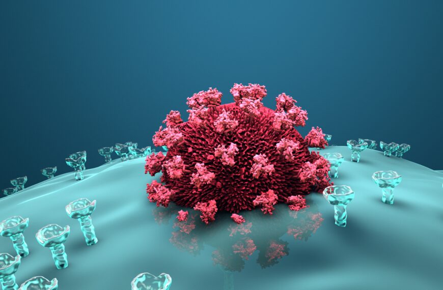 Zapalenie opon mózgowych – objawy, przyczyny i skuteczne metody leczenia