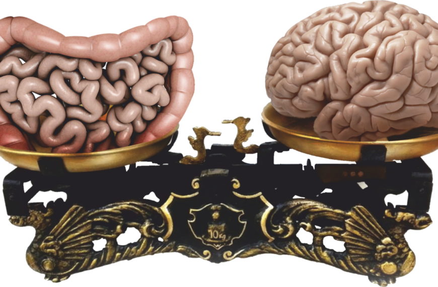 Miażdżyca – cichy wróg, który zabiera zdrowie po kawałku
